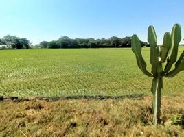  Grundstück zu verkaufen in Lambayeque, Lambayeque, Lambayeque, Lambayeque, Lambayeque