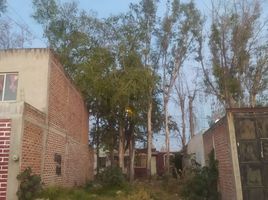  Grundstück zu verkaufen in Tlajomulco De Zuniga, Jalisco, Tlajomulco De Zuniga