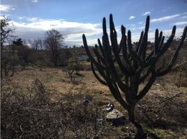  Terreno (Parcela) en venta en Punilla, Cordobá, Punilla