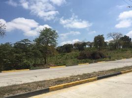 在Daule, Guayas出售的 土地, Daule, Daule
