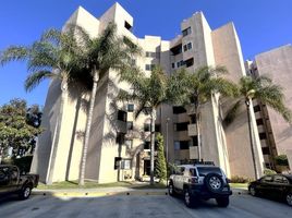 2 Schlafzimmer Wohnung zu vermieten in Tijuana, Baja California, Tijuana, Baja California