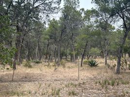 Grundstück zu verkaufen in Arteaga, Coahuila, Arteaga
