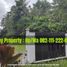  Land for sale in Airmadidi, North Sulawesi, Airmadidi, Minahasa, North Sulawesi