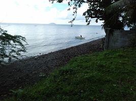  Grundstück zu verkaufen in Negros Oriental, Negros Island Region, Dauin