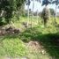  Land for sale in Ubud, Gianyar, Ubud