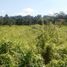  Land for sale in Ubud, Gianyar, Ubud