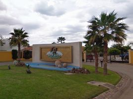 Maison 3 chambre à vendre à Culiacan, Sinaloa, Culiacan, Sinaloa