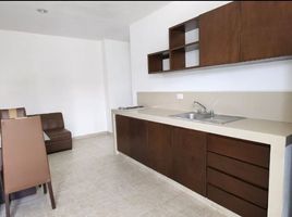 1 Schlafzimmer Appartement zu vermieten in Merida, Yucatan, Merida, Yucatan