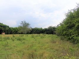  Terreno (Parcela) en venta en Ginebra, Valle Del Cauca, Ginebra