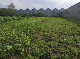 Terreno (Parcela) en venta en Lakarsantri, East Jawa, Lakarsantri, Surabaya, East Jawa
