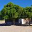  Terreno (Parcela) en venta en San Rafael, Mendoza, San Rafael
