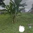  Land for sale in Bandung, West Jawa, Sumurbandung, Bandung