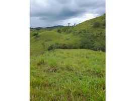 Estudio Villa en venta en Coclé, Piedras Gordas, La Pintada, Coclé