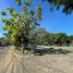 12 Habitación Villa en venta en Mulyorejo, East Jawa, Mulyorejo