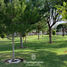  Land for sale in Tequisquiapan, Queretaro, Tequisquiapan, Queretaro