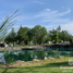  Land for sale in Tequisquiapan, Queretaro, Tequisquiapan, Queretaro