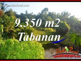  Land for sale in Selemadeg, Tabanan, Selemadeg