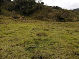  Terreno (Parcela) en venta en Retiro, Antioquia, Retiro