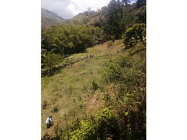  Terreno (Parcela) en venta en Girardota, Antioquia, Girardota