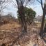  Terreno (Parcela) en venta en Arandas, Jalisco, Arandas