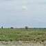 Terrain à vendre à Reynosa, Tamaulipas, Reynosa