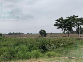  Land for sale in San Jacinto De Yaguachi, Guayas, San Jacinto De Yaguachi, San Jacinto De Yaguachi