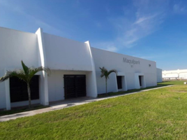 Estudio Casa en alquiler en Reynosa, Tamaulipas, Reynosa, Tamaulipas