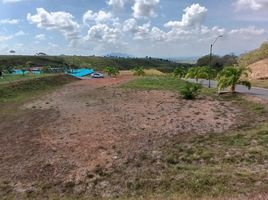  Land for sale in Pereira, Risaralda, Pereira