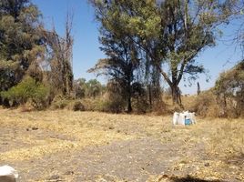 Terrain à vendre à Ixtlahuacan De Los Membrillos, Jalisco, Ixtlahuacan De Los Membrillos