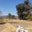 Terrain à vendre à Ixtlahuacan De Los Membrillos, Jalisco, Ixtlahuacan De Los Membrillos