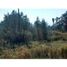  Land for sale in Mineral De La Reforma, Hidalgo, Mineral De La Reforma