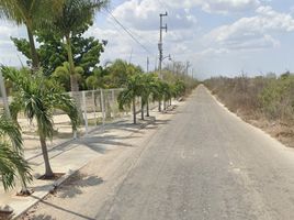  Grundstück zu verkaufen in Conkal, Yucatan, Conkal, Yucatan