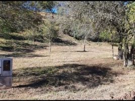  Land for sale in Salta, Capital, Salta