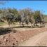  Land for sale in Salta, Capital, Salta