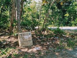  Land for sale in Tepus, Gunung Kidul, Tepus