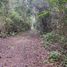 2 Bedroom House for sale in Hopelchen, Campeche, Hopelchen, Campeche