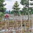  Grundstück zu verkaufen in Lembang, West Jawa, Lembang, Bandung, West Jawa, Indonesien