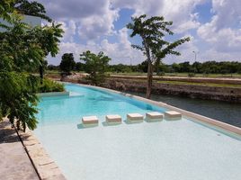 Studio Villa for sale in Progreso, Yucatan, Progreso