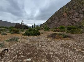  Land for sale in Chile, La Serena, Elqui, Coquimbo, Chile