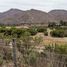  Land for sale in Chile, La Serena, Elqui, Coquimbo, Chile