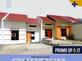 2 Kamar Rumah for sale in Peringsewu, Lampung Selatan, Peringsewu