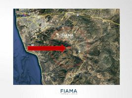  Land for sale in Tecate, Baja California, Tecate, Baja California, Mexico