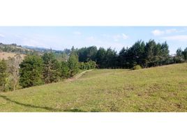  Land for sale in Guarne, Antioquia, Guarne