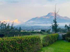 2 Habitación Casa en venta en Ecuador, Cotacachi, Cotacachi, Imbabura, Ecuador