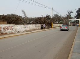  Terreno (Parcela) en alquiler en Lima, Lurin, Lima, Lima