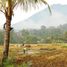  Land for sale in Karangpawitan, West Jawa, Karangpawitan, Garut