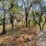  Land for sale in Juarez, Nuevo Leon, Juarez