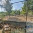  Land for sale in Juarez, Nuevo Leon, Juarez