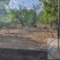  Land for sale in Juarez, Nuevo Leon, Juarez