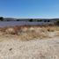  Land for sale in Lagos De Moreno, Jalisco, Lagos De Moreno